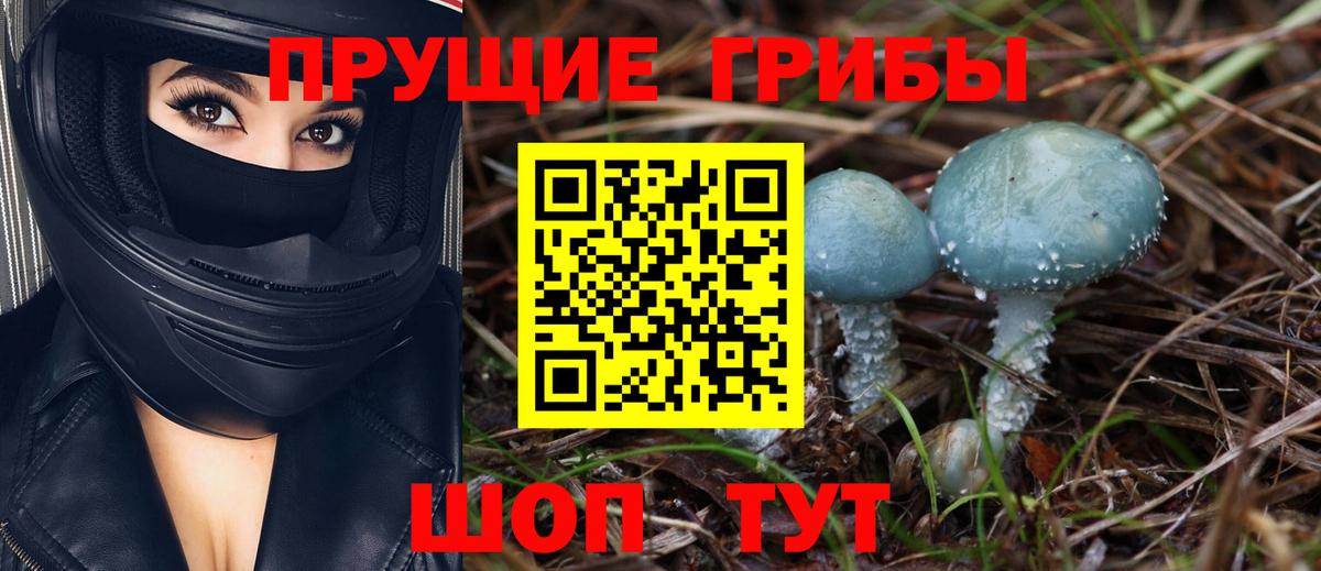 Павлово  Псилоцибиновые грибы Magic Shrooms  где найти наркотики  Вход с VPN 