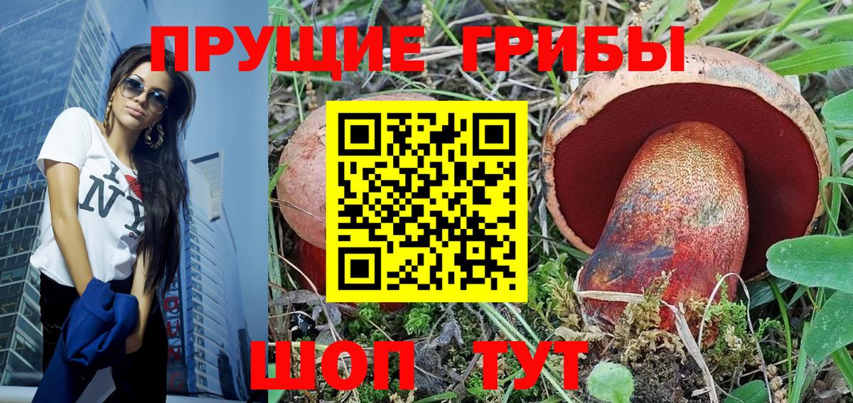Псилоцибиновые грибы Psilocybe Павлово